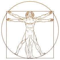 Vitruvian Man